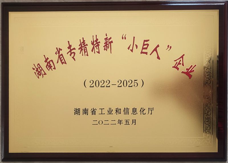 省级小巨人